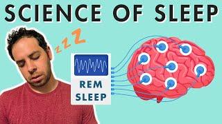 Sleep Stages, Sleep Cycle, and the Biology of Sleep