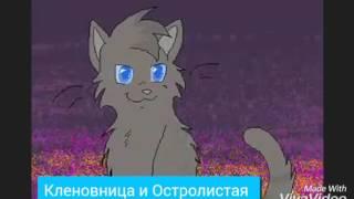 Коты Воители Уголек.