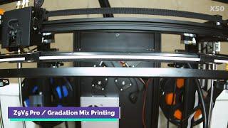 ZoneStar Z9V5 Pro  Gradation Mix Printing