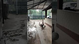 Epic Football Fail  #shorts #football #skills #fail #footballfail #street #streetfootball