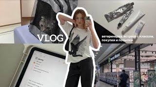 vlog | один летний и занятой денёк блогера 