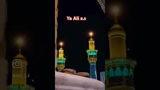 Mera Murshid Mera Aqa @LajpalAzadariNetworkKaror12 @karbalai.512 @MarkaziAzadari