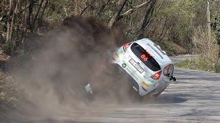 BEST of Rally 2019 | Best Moments, Crash, Pure Sound by Palbo46