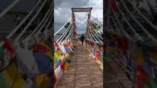 Dhamal Adda (Coochbehar) @DhamalAdda #shorts #video #youtube
