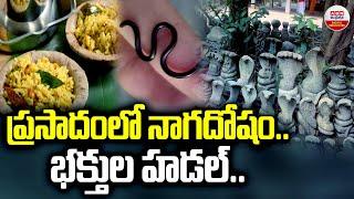 ప్రసాదంలో నాగదోషం..భక్తుల హడల్..! Snake Found in Temple Prasadam | Chandra Choodeswarar Temple | ABN