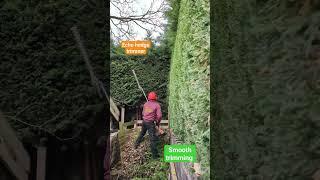 Hedge trimming #garden #gardener #gardeningtools #menatwork #quality #machines #echo #hedgetrimming