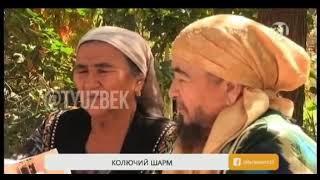 #Дахшат Соколи бо Узбек аёл 2021