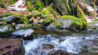 Healing Water Sounds for Relaxing | Audio Libre Library