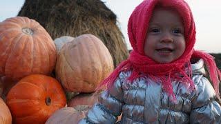 Zabava and Pumpkins. Childhood in the village. Russia. ASMR sounds. ENG SUBS