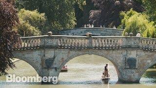 Cambridge is More Than a University Town