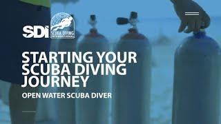 Starting Your Scuba Diving Journey - SDI Open Water Scuba Diver