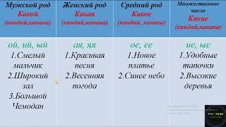 #russia #mega  #rus #tili #megateam #Russian #learning #имя прилагательное #имя #прилагательное #ru