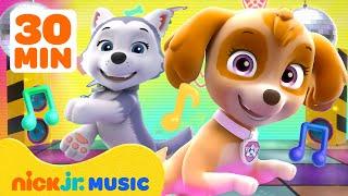 PAW Patrol Skye’s Ultimate Music Party Compilation!  | 30 Minutes | Nick Jr. Music