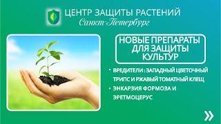 Новые препараты для защиты культур