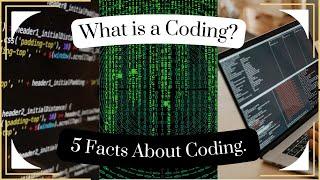 5 Facts about Coding!!! in one minute.