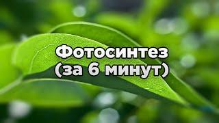 Фотосинтез за 6 минут (даже меньше)