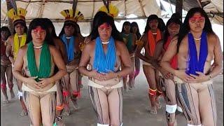 Tribal dance Rituais de cura indígena