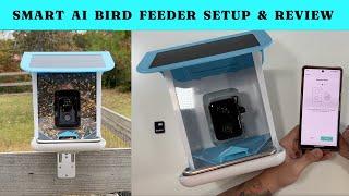 Kactoily Smart AI Bird Feeder Setup and Review