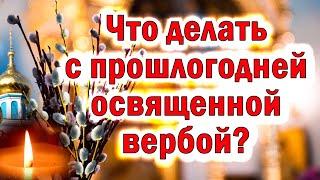 ТОЛЬКО СЕГОДНЯ! Что делать с прошлогодней вербой? Куда девать вербу. С Вербным воскресеньем!