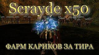 Scrayde x50 / Фарм Кариков ТИРОМ  (Grand Khavatari) / 50kkk АДЕНЫ+++ за 6 часов