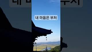 내 마음은 부처- 안면도펜션 안면도여행