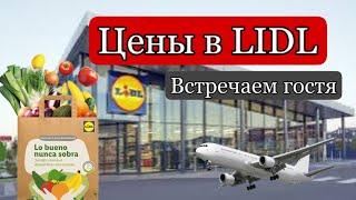 ЦЕНЫ на ПРОДУКТЫ в LIDL ИСПАНИЯ | АЭРОПОРТ МАДРИДА | ВСТРЕЧАЕМ ГОСТЯ | Влог