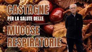 CASTAGNE, un alimento senza glutine per la salute delle MUCOSE RESPIRATORIE