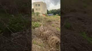 Khu Dân Cư Cát Lái 55 Triệu M2 100m2 Xây 3.5 Tang