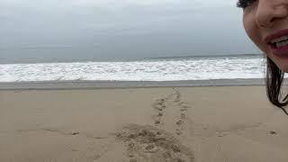 Taylor Jevaux Twitch Cat Jumping On The Beach