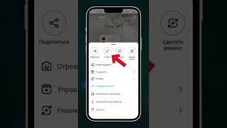 Как скачать видео с instagram и TikTok