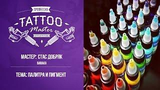 Профессия Tattoo Master -  Палитра и пигмент. Стас Добряк( Baraka )