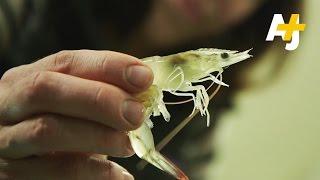 The Plant: Urban Farming, Warehouse-Style