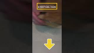 Те самые сочные утиные грудки!!! #аппетитноенастроение #yummymood #рецепты #еда #какприготовить