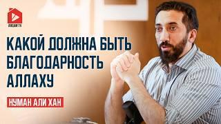 Какой должна быть благодарность Аллаху | Нуман Али Хан