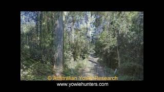 Yowie / Bigfoot Sighting (Audio Report #40) at Canarvon Gorge, Queensland