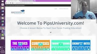 Pips University Review: Can It Help You Conquer The Forex Market?