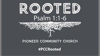 PCC Rooted 2016-2017 A Year End Review