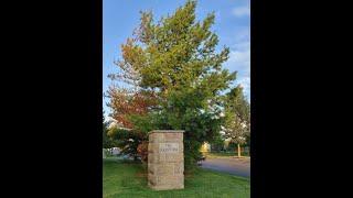 RENTAL - 5968 New Albany Road West New Albany, Ohio 43054