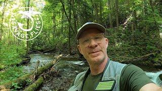 Fly Fishing Big Run in the Savage River State Forest