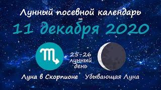 [11 декабря 2020] Лунный посевной календарь огородника-садовода | Флористикс Инфо