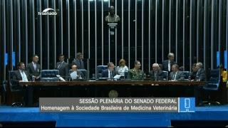 Sessão especial - TV Senado ao vivo - Plenário - 18/03/2019