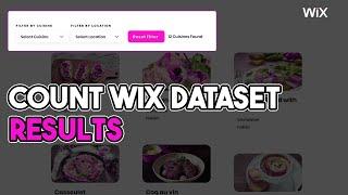 Count Wix Dataset Results | Wix Ideas