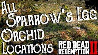 Red Dead Redemption 2 - All 25 Sparrow's Egg Orchid Locations (Duchesses and Other Animals) Exotics