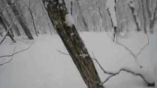 Adam Smylie in Niseko Powder