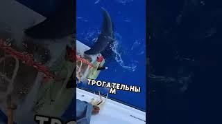 Дельфин принёс подарок чтобы спасти свою любовь! #shorts