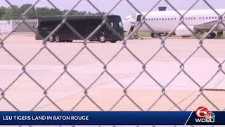 LSU's women's basketball team arrives home