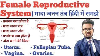 Female Reproductive System In Hindi | Menstrual Cycle | Uterus | Ovary | Fallopian Tube | Ovulation