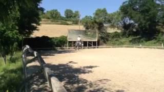 Dressage PRE