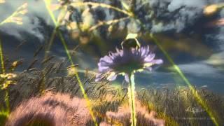 GMO Free Zones - Vandana Shiva