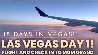 Las Vegas Day 1! Flight and check into MGM Grand